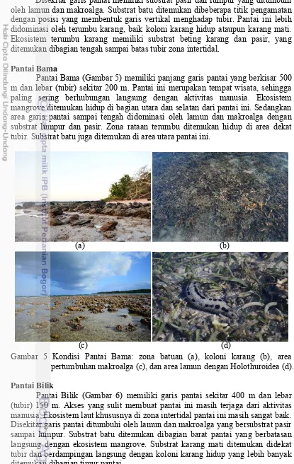 Gambar 5 Kondisi Pantai Bama: zona batuan (a), koloni karang (b), area (