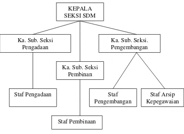 Gambar 1: Struktur organisasi seksi SDM Perum Perhutani 