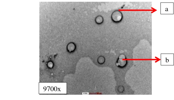 Gambar 1 Penampakan nanoemulsi vitamin A menggunakan TEM, fase polar (a),                               