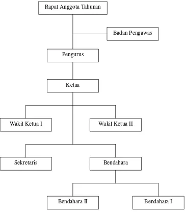 Gambar 1. Struktur Organisasi Kokar Wahana Semarang  Sumber: Data Rapat Anggota Tahunan 