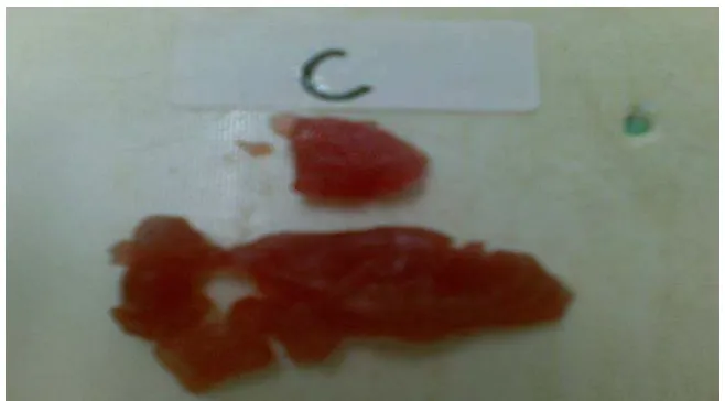 Gambar 9. Daging ikan tuna grade C hasil checker 