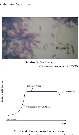 Gambar 4. Kurva pertumbuhan bakteri                            (http://www.corrosion-club.com) 