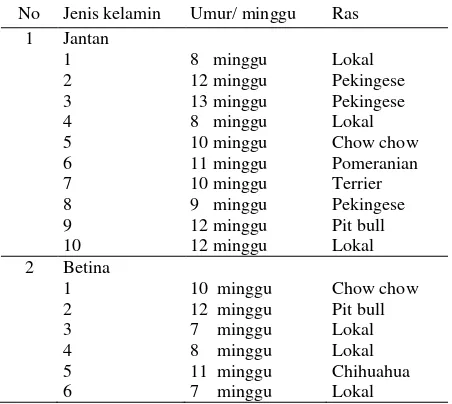 Tabel 1. Sinyalemen anjing terinfeksi parvovirus di Kota Denpasar 