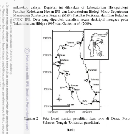 Gambar 2  Peta lokasi stasiun penelitian ikan rono di Danau Poso, 