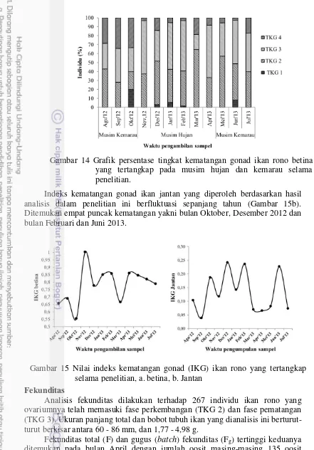 Gambar 15 Nilai indeks kematangan gonad (IKG) ikan rono yang tertangkap 