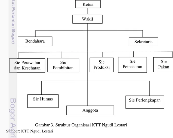 Gambar  3. Struktur Organisasi KTT Ngudi Lestari Sumber: KTT Ngudi Lestari  