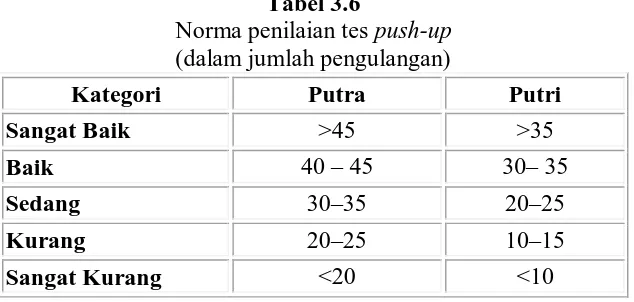 Tabel 3.6  Norma penilaian tes 
