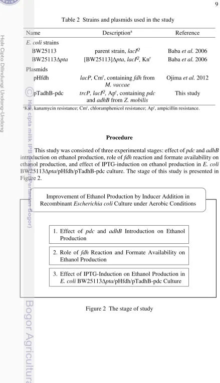 Table 2  Strains and plasmids used in the study 