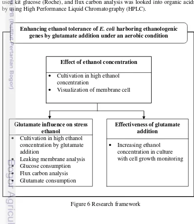 Figure 6 Research framework 
