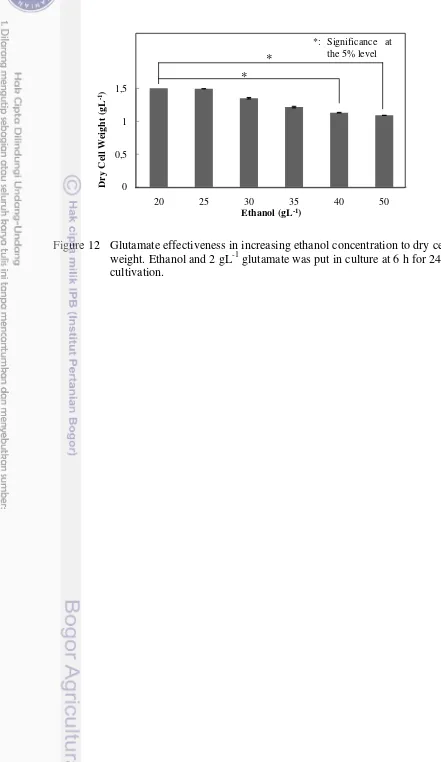 Figure 12 Glutamate effectiveness in increasing ethanol concentration to dry cell 