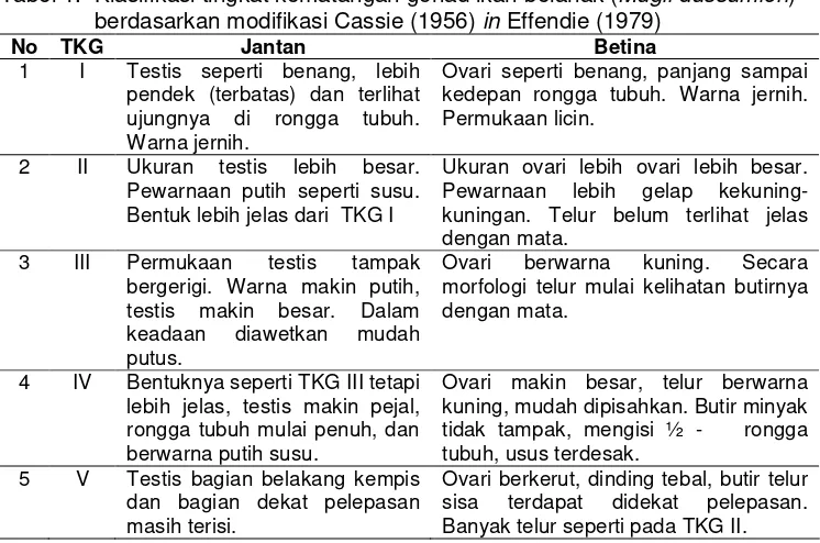 Tabel 1.  Klasifikasi tingkat kematangan gonad ikan belanak (Mugil dussumieri)