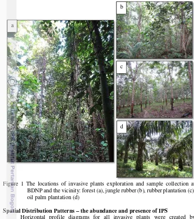 Figure 1 The locations of invasive plants exploration and sample collection at 