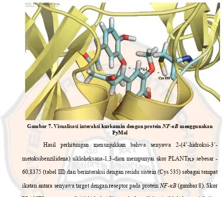 Gambar 7. Visualisasi interaksi kurkumin dengan protein NF-κB menggunakan 