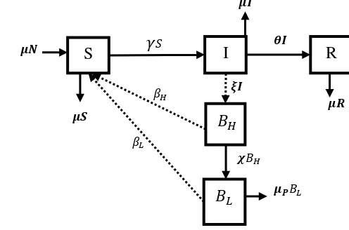 Gambar 2 Diagram kompartemen model Hartley et al. (2006)  