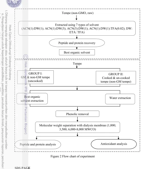 Figure 2 Flow chart of experiment 