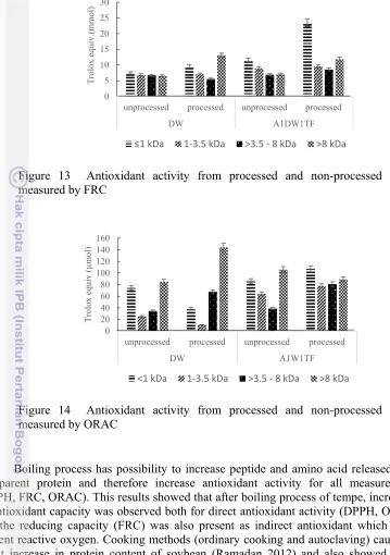 Figure 13  Antioxidant activity from processed and non-processed tempe 