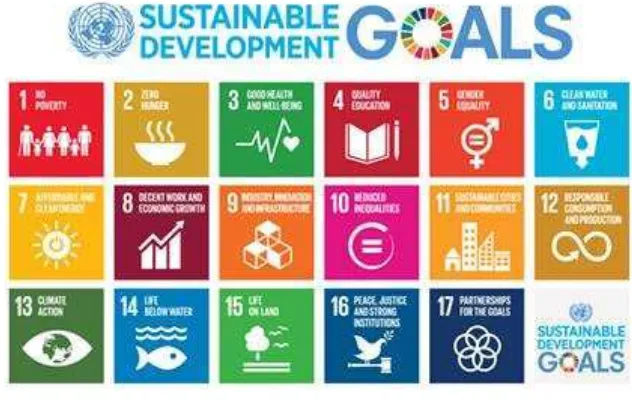 Figure 6. Sustainable Development Goals. 