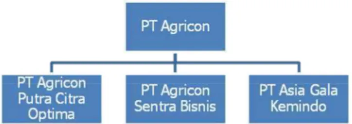 Gambar 6. Diagram Anak Perusahaan PT Agricon