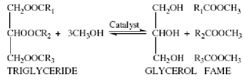 Gambar 2. Reaksi antara minyak nabati dan alkohol dengan katalis. 