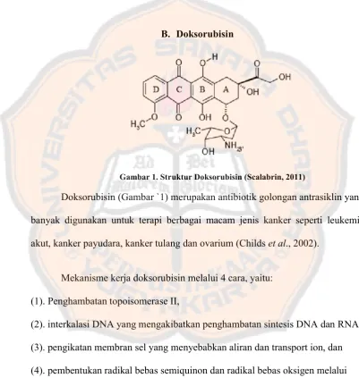 Gambar 1. Struktur Doksorubisin (Scalabrin, 2011) 