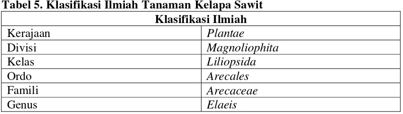 Tabel 5. Klasifikasi Ilmiah Tanaman Kelapa Sawit 