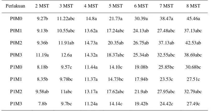 Tabel 1 : Tinggi Tanaman Cabai pada 4 Taraf Metanol 