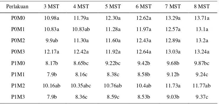 Tabel 2 : Tinggi Dikotomus Tanaman Cabai pada 4 Taraf Metanol 