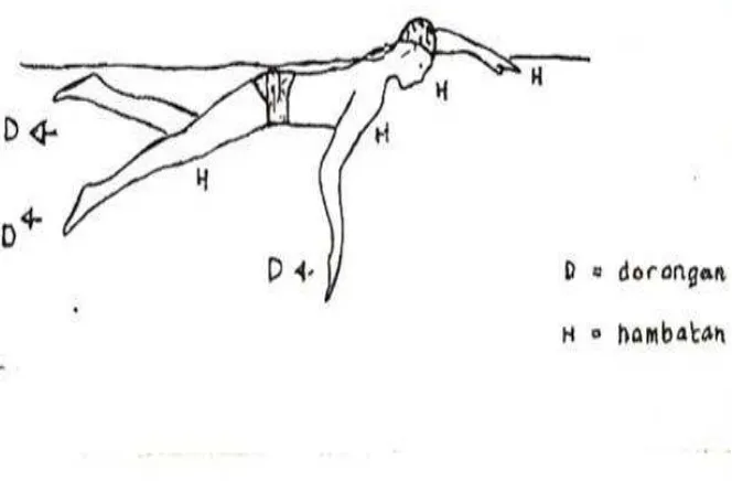 Gambar 1. Selisih jumlah hambatan dan dorongan dalam renang gaya crawl.  (Soejoko H, 1992:2)