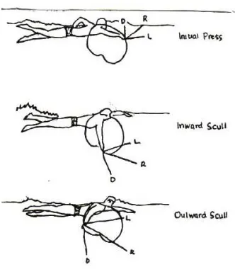 Gambar 2. Gaya angkat ( L ), gaya hambat ( D ), Resultane ( R ) yang di berikan oleh air kepada telapak tangan pada tiga bagian dari tarikan lengan renang gaya crawl  (Soejoko H, 1992:6)