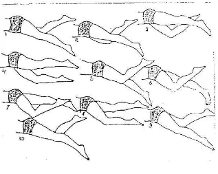 Gambar 5. Urutan gerakan tungkai dalam renang gaya crawl  (Sukintaka, 1983:94). 