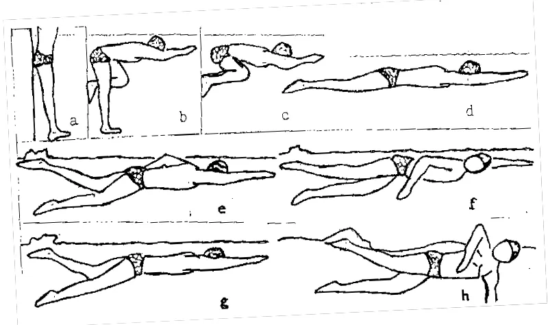 Gambar 7.  Koordinasi gerakan renang gaya crawl  (Dumadi dan Kasiyo D.W, 1992:48) 