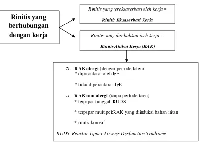 Gambar 2.2. Klasifikasi rinitis akibat kerja (Moscato dkk., 2009).       