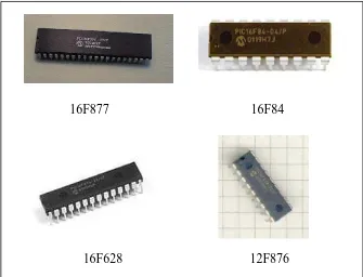 Figure 2.1:  Some of the PIC from Microchip 