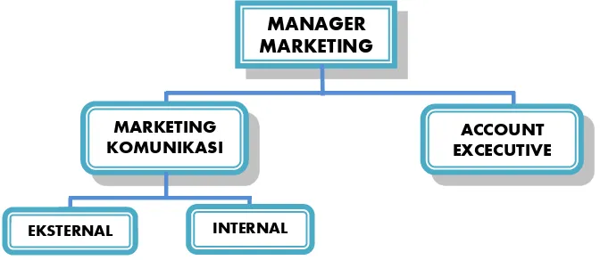 Gambar 2.4 Struktur organisasi marketing ADiTV : 