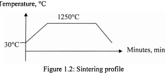 Figure 1.2: Sintering profile 