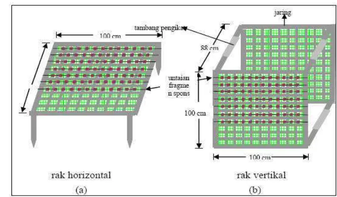 Gambar 4.  Bentuk rak fragmentasi (a) Rak Horizontal, (b) Rak Vertikal 