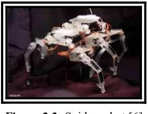Figure 2.3: Spider robot [6] 