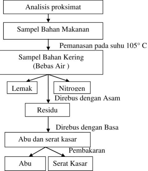 Gambar 2. Skema Analisis Proksimat