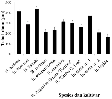 Tabel 1  Karakteristik stomata 11 spesies dan kultivar Begonia 