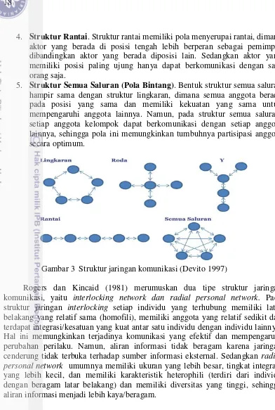 Gambar 3  Struktur jaringan komunikasi (Devito 1997)  Hal ini memungkinkan terjadinya komunikasi yang efektif dan mempengaruhi perubahan perilaku