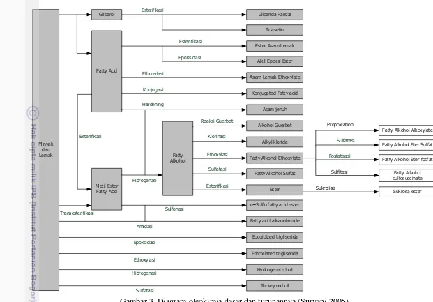 Gambar 3. Diagram oleokimia dasar dan turunannya (Suryani 2005) 