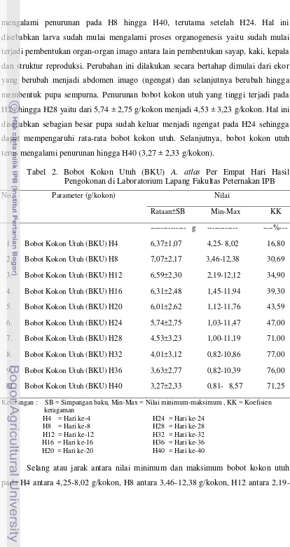 Tabel 2. Bobot Kokon Utuh (BKU) A. atlas Per Empat Hari Hasil 