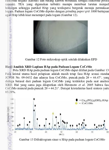 Gambar 13 Difraktogram sinar-x HAp pada paduan logam CoCrMo