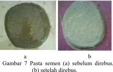 Gambar 7 Pasta semen (a) sebelum direbus, (b) setelah direbus.  