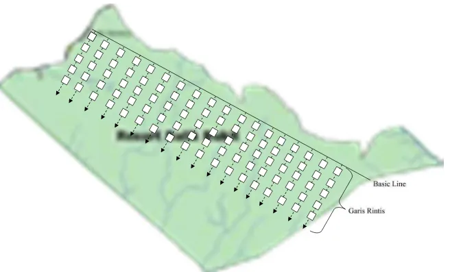Gambar 3.  Peletakan petak contoh untuk pengamatan anggrek Eria spp. di Resort Balik Bukit Taman Nasional Bukit Barisan Selatan