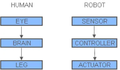 Figure 1.1: Block Diagram of Similarity between Human and Robot. 