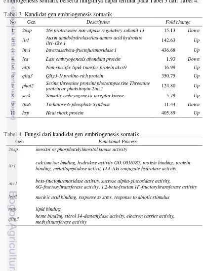 Tabel 4  Fungsi dari kandidat gen embriogenesis somatik 