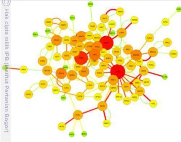 Gambar 10 Interaksi antar gen up-regulated dan down-regulated hasil analisis 