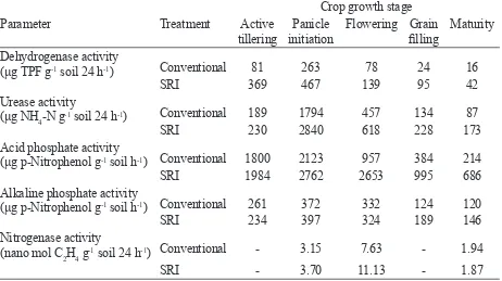 Table 4. Microbial populations in the rhizosphere soil in rice crop under different crop 