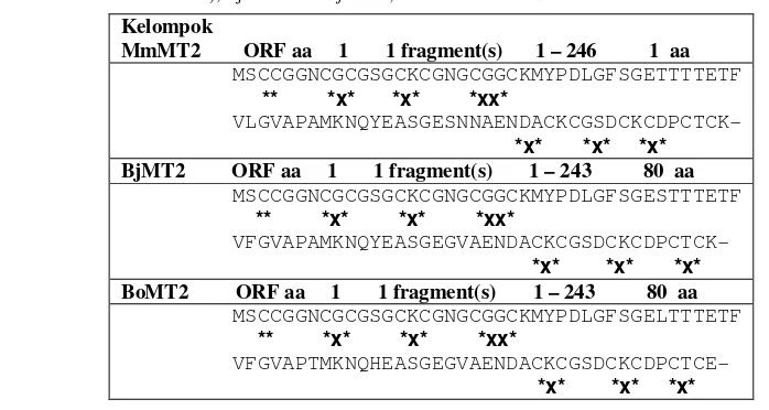 Tabel 2 Perbandingan ORF dan motif asam amino Cys pada kelompok MmMT2 (MmMT2 dari M. 